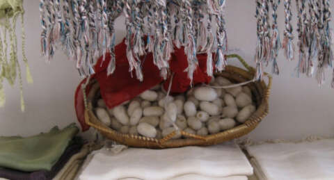 Bursa 'ipeğini' kaptırdı!