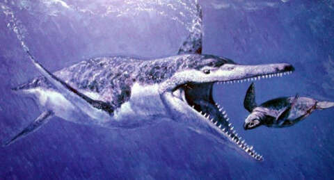 Dünyanın en büyük deniz canavarı!