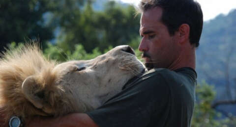 Aslanlarla aynı kafeste kalacak