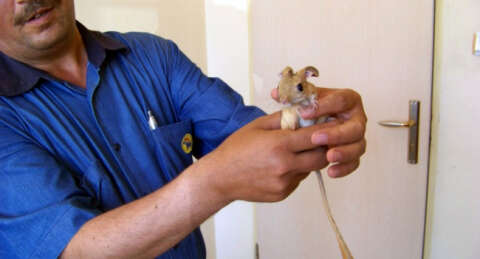 Görenleri şaşkına çevirdi