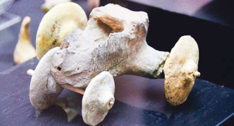 Tarih yeniden yazılmalı!