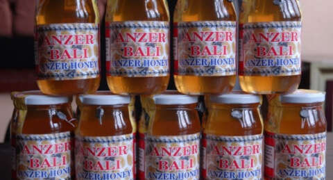 Anzer balının fiyatı belli oldu