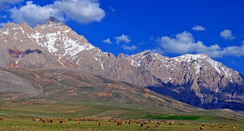 Mahsur kalan dağcılara ulaşıldı
