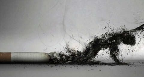 Sigaranın içindekiler ilk kez açıklandı