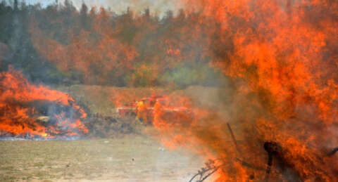 Bursa'da orman yangını tatbikatı