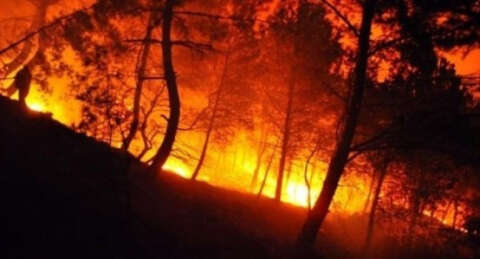 Orhaneli'de orman yangını