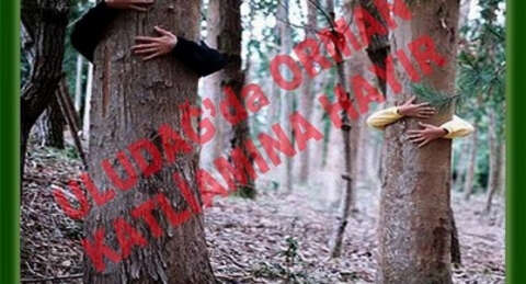 Uludağ'da ağaç kesimine protesto