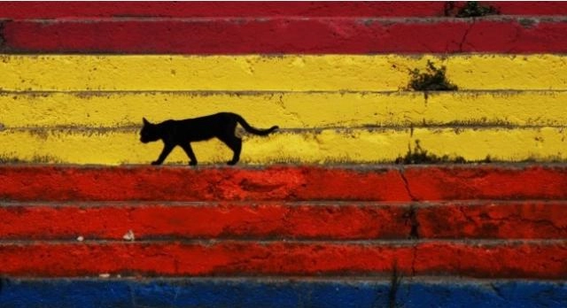 Fotofest'te büyük yarış sonuçlandı