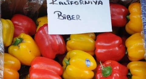 'Kaliforniya biberi'nde tane ile satış dönemi