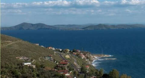 Marmarabirlik 'organik zeytin' için harekete geçti