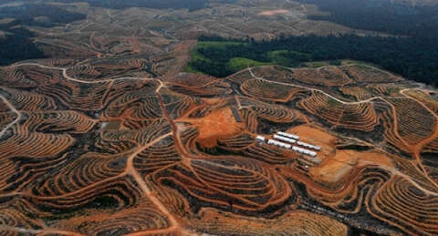 Gıda devleri ömrümüzü yiyor !