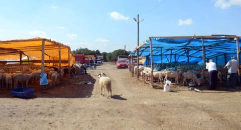 Osmangazi'de kurbanlık satış alanları hazır