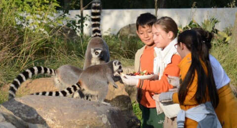 Bursa Hayvanat Bahçesi 16 yaşında
