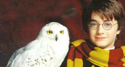 J.K. Rowling'den Noel şerefine 12 Harry Potter hikayesi