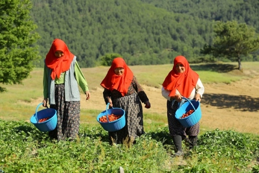 Başkent'te 'Dört Mevsim Bursa' sergisi
