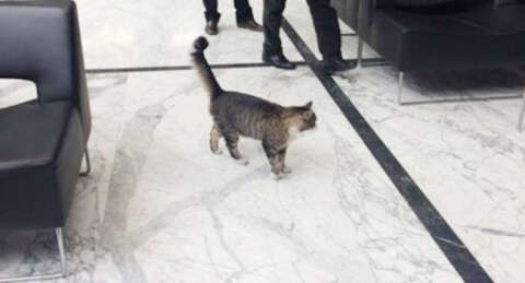 Şero'dan Baykal'a: Partiye kazandırdığı tek iyi şey benim