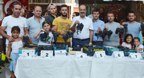 Çağrışan bağbozumu ile şenlendi