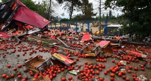 Domates yüklü kamyon devrildi