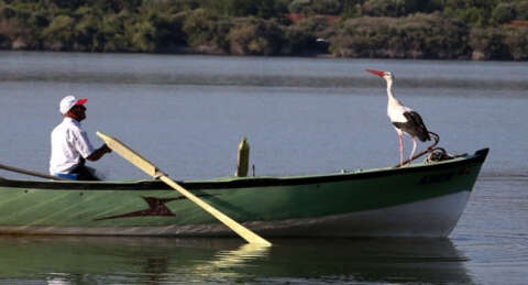 Balıkçı Adem ile Yaren Leylek'in 6 yıllık dostluğu!