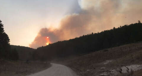 Kütahya'daki orman yangını Bozüyük'e sıçradı
