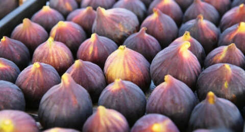 'Bursa siyahı'nı en çok onlar tüketiyor