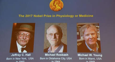 Nobel Tıp Ödülü 3 bilim insanına verildi