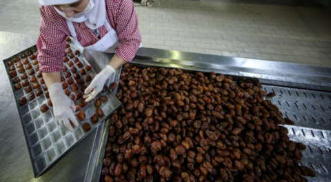 9 ilde üretiliyor Bursa'da şekerleniyor