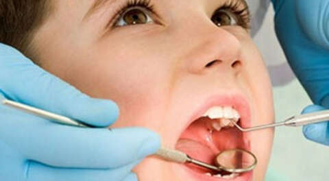 Ağız ve diş araştırması Bursa'da başladı