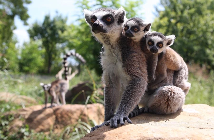 Onlar da "anne"; Karşılıksız sevginin kaynağı