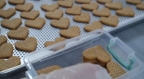 Bebeği için üretti şimdi tüm Türkiye'ye satıyor