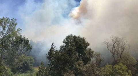 Mudanya'da aynı yerde yine orman yangını
