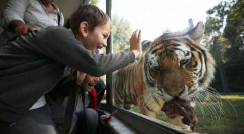 Bursa'da öğrencilerin hayvanat bahçesi keyfi