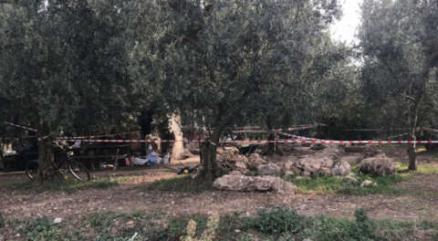 Zeytin bahçesinden 700 yıllık hamam çıktı