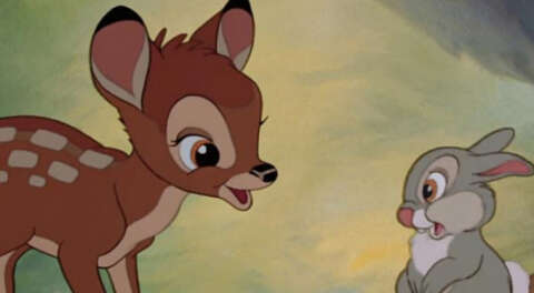 ABD'de geyik avcısına 'Bambi' izleme cezası!