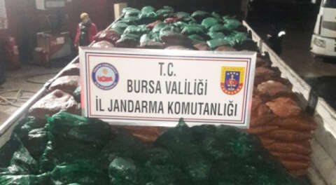 Bursa'da 19 ton kaçak midye ele geçirildi