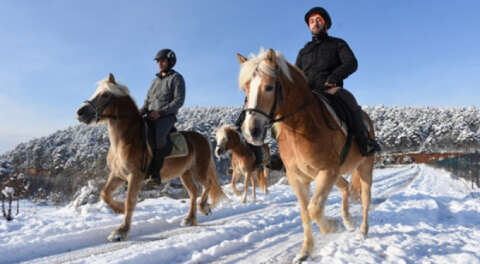Uludağ'ın karlı eteklerinde atla gezinti turizmi