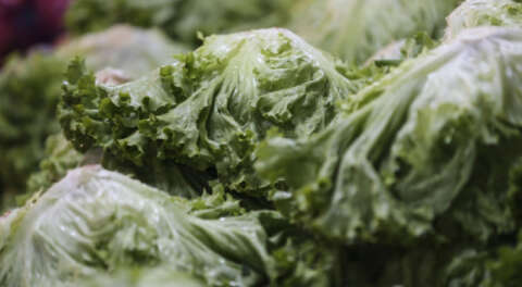 Şubatta en fazla kıvırcık salata fiyatı arttı