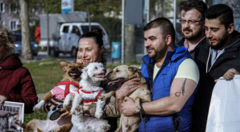 Bursa'da sokak hayvanları için eylem yaptılar