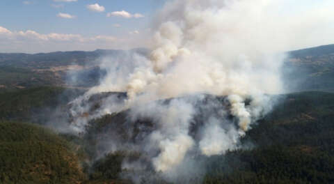 Orhaneli'de 50-60 hektar orman zarar gördü