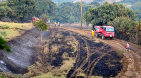 Biga'daki yangın büyümeden kontrol altına alındı