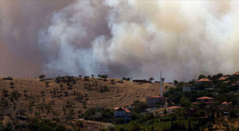 İzmir ve Muğla'da orman yangınları çıktı