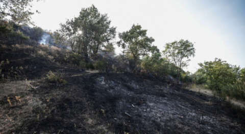 Bursa'da orman yangını; 2 şüpheli serbest