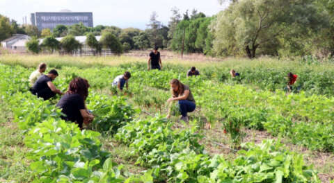 BUÜ Ziraat Fakültesi'nde organik tarımla eğitim