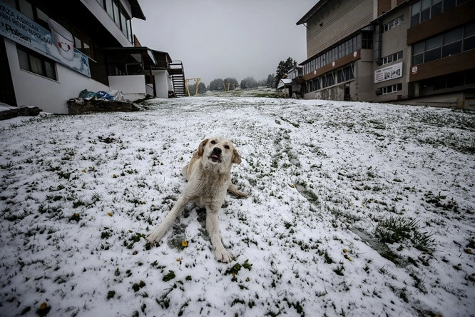 Uludağ mayıs ayında beyaza büründü