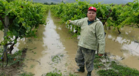 Bursa'da şiddetli yağış tarım arazilerini göle çevirdi