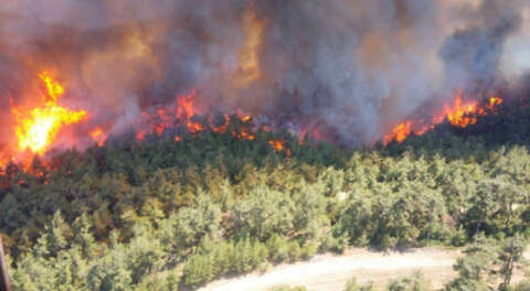 Tarihi Gelibolu Yarımadası'nda orman yangını