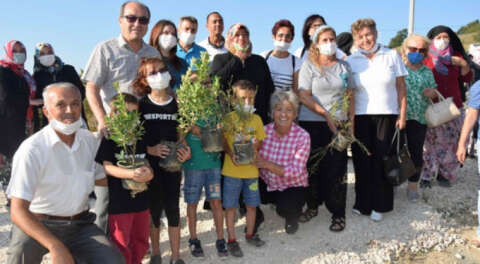 CHP'den kampanya; Kirazlıyayla yeniden yeşil olacak