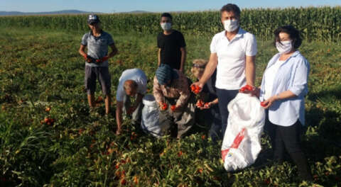 CHP'li Sarıbal: Sorunlarını çiftçilerden dinleyin!