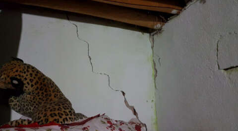 Niğde Bor'da 5,1 büyüklüğünde deprem