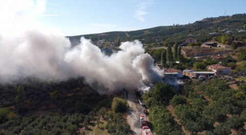 Mudanya'daki yangın kentin birçok yerinden görüldü
